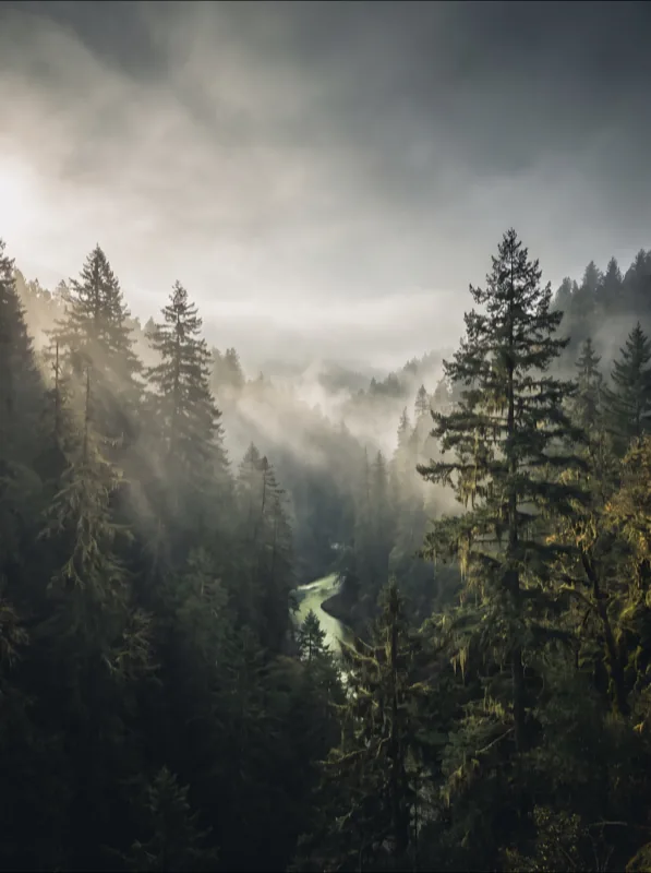 Documentaires HD - Nature, science, histoire et culture